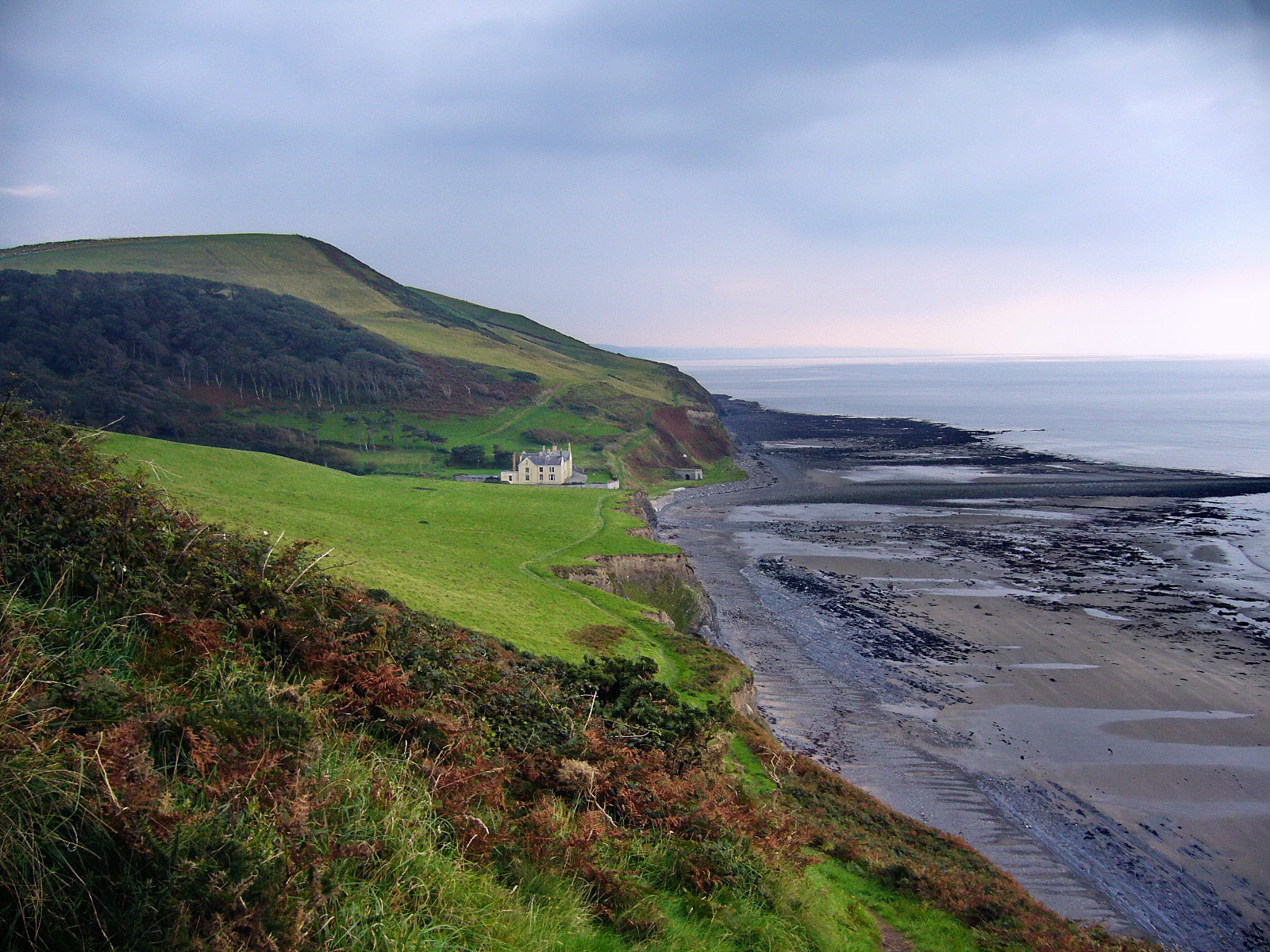 Borth